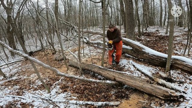 STIHL 462 chainsaw смотреть онлайн