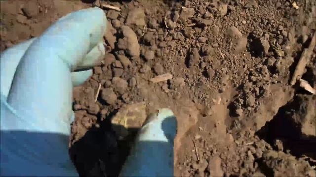 #КОП МОНЕТ #КОГДА ОДИН ВЗМАХ ЛОПАТОЙ ЭТО 400 $ смотреть онлайн