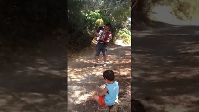 Acordeon en la montaña смотреть онлайн