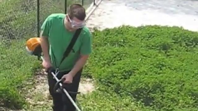 the Strimmer смотреть онлайн