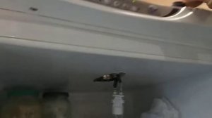 Ремонт освещения в холодильнике Атлант.