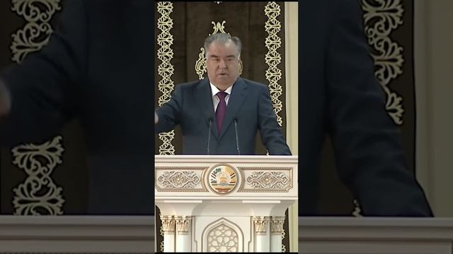 картошка второй хлеб для нас с вами