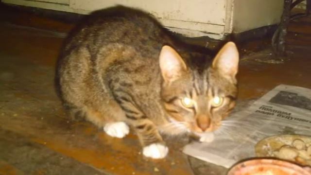 Зимняя ночь смотреть онлайн