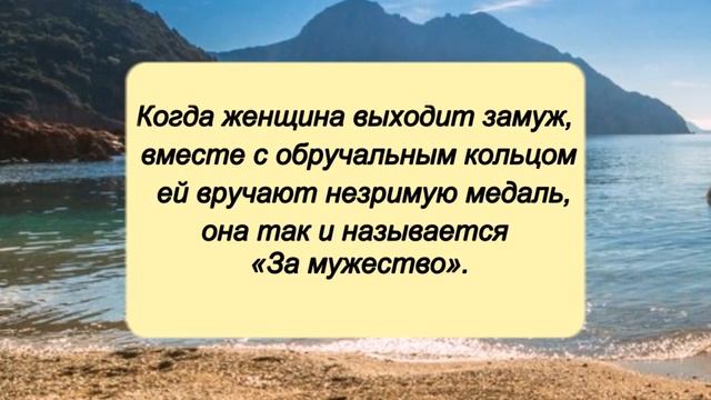 Сатирические цитаты Михаила Задорнова // Крылатые фразы, высказывания, афоризмы смотреть онлайн