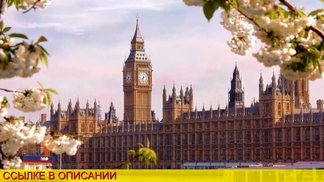 авиабилет омск санкт петербург смотреть онлайн