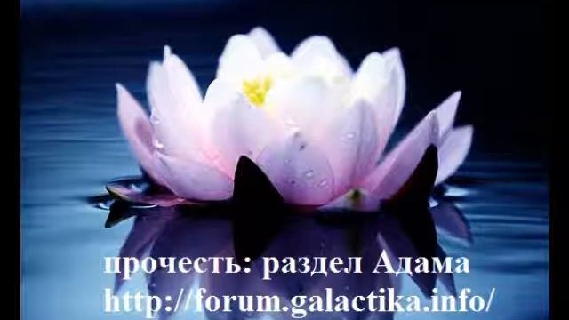 Медитация «Мечты о Новой Земле» смотреть онлайн