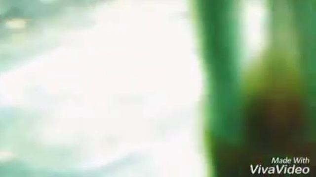 Родились мальки золотой рыбки.??????? смотреть онлайн