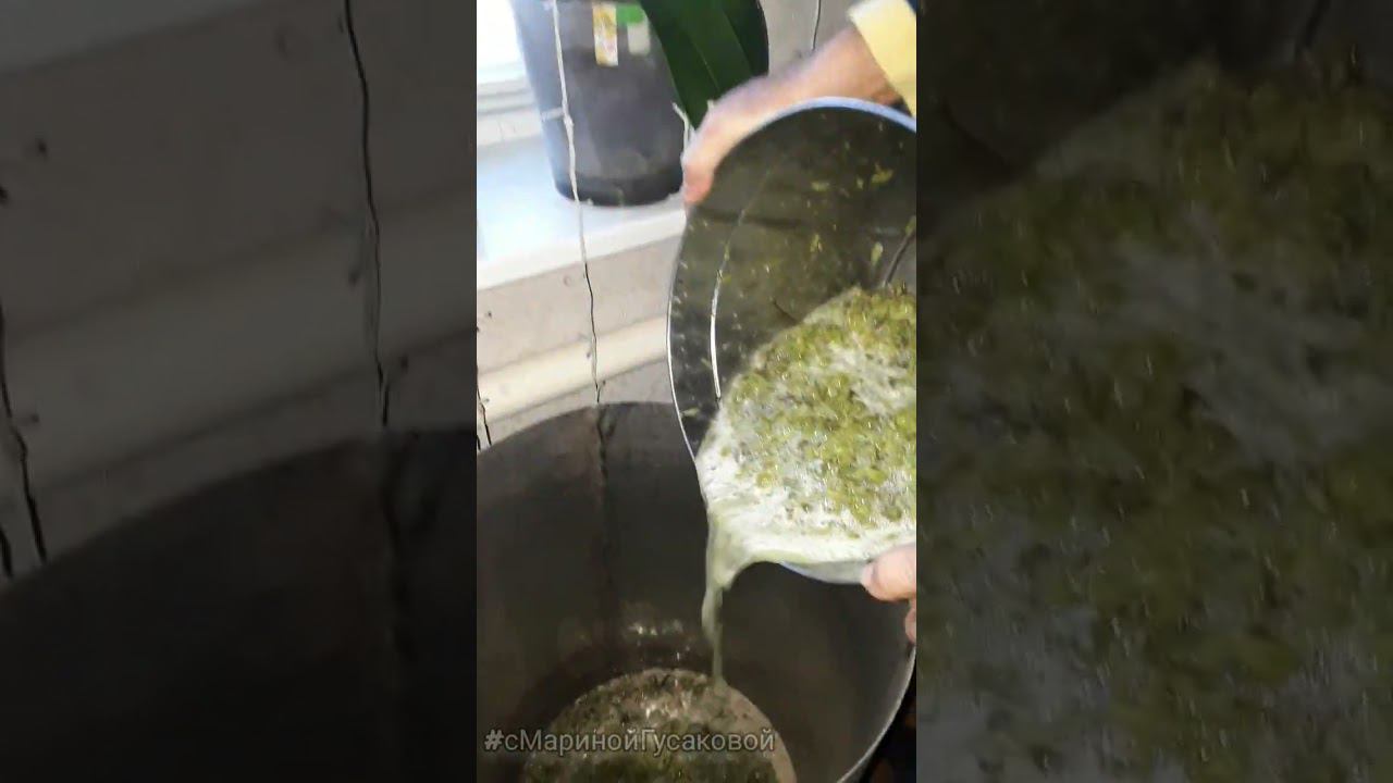 Как приготовить Домашнее ВИНО из винограда. Как сделать простое домашнее ВИНО Часть 1-ая смотреть онлайн