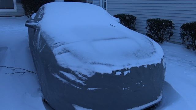 Custom Fit Car Cover (15-17 Mustang) смотреть онлайн