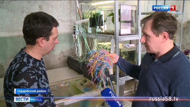 Сотрудники аквафермы в Сердобском районе поделились секретом выращивания креветок смотреть онлайн