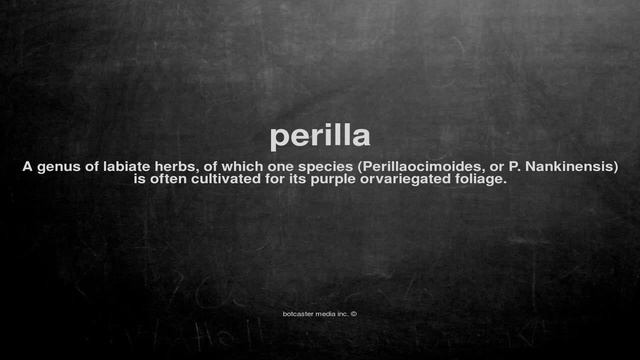 What does perilla mean смотреть онлайн