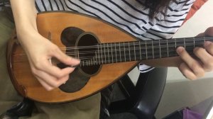 Japan NAGOYA Suzuki M30 Solid Spruce top Solid Maple Bowl back Mandolin, OJMN372