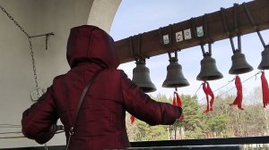 звонильная неделя 2023 (video 20230419 113346)