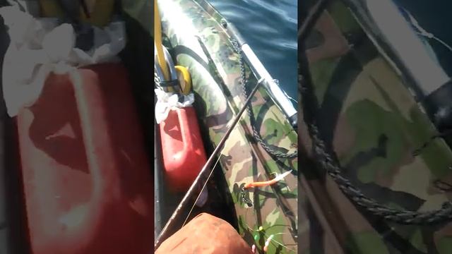 Ловля краба на пунду смотреть онлайн