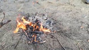 Зомби апокалипсис в реальной жизни 2 серия