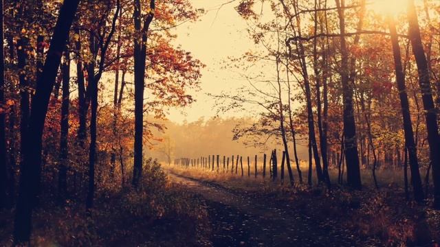 ☀️ Morning Yoga - Music To Start Your Day! 3 Hours Yoga Music Relax