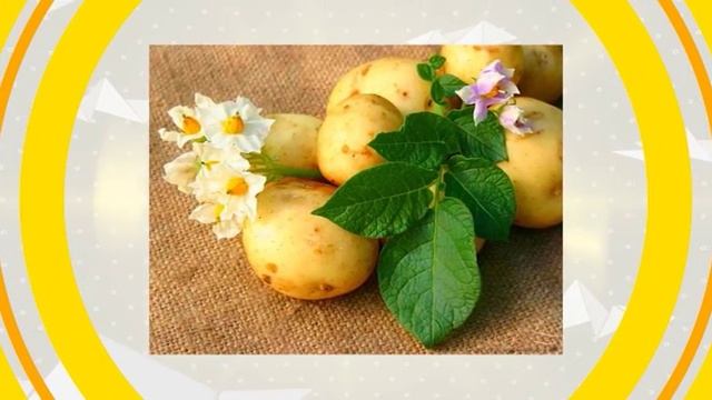 УТРО СО ВКУСОМ (ГОРЯЧАЯ СКОВОРОДА) смотреть онлайн