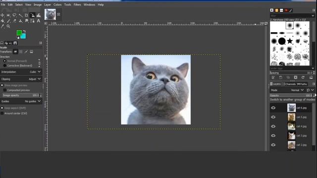 TIK KELAS V MEMBUAT GIF ANIMASI DENGAN GIMP смотреть онлайн