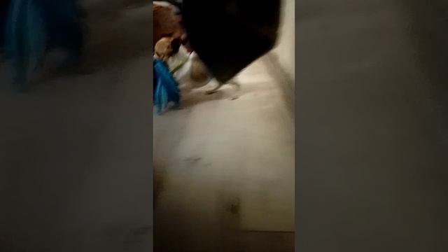 1000003989.mp4 смотреть онлайн