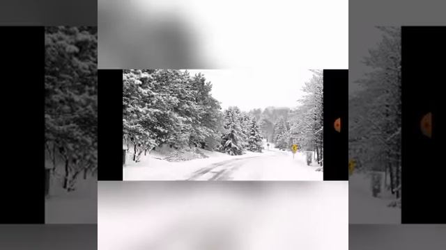 мы родились в сибири//кто во всем виноват?//обзор канала смотреть онлайн