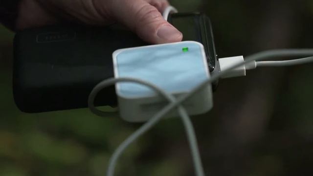 Orchid pollination experiment tour ft. Melissa McCormick, Smithsonian Environmental Research Center смотреть онлайн