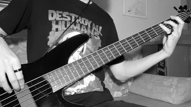 Frantic Amber - The Ghost That Kills (bass cover) смотреть онлайн