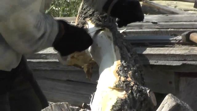 Ошкурение столбиков из клёна. 27. 08. 2019 смотреть онлайн