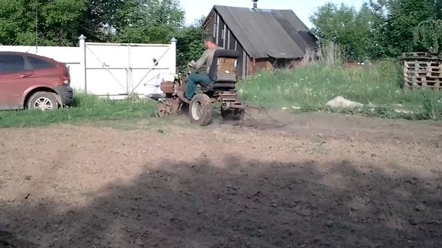 Бороним картофельный участок. 25.05.16 конская борона и мб  Каскад.