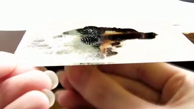 Handmade ferrofluid смотреть онлайн
