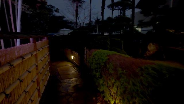 4K60【ホテルニューオータニ東京「夜桜」ライトアップ】2024 東京 Japan смотреть онлайн