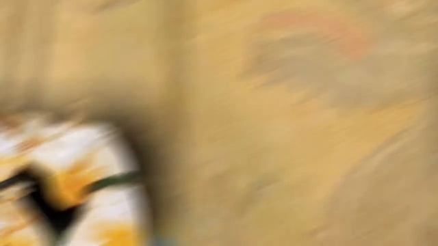 Дзюдо соревнования, заставка на экран смотреть онлайн