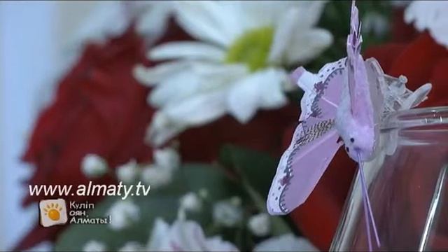 Таңғы Алматы - Флорариум смотреть онлайн
