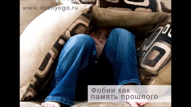 Озвучка статьи "Фобии как память прошлого" смотреть онлайн