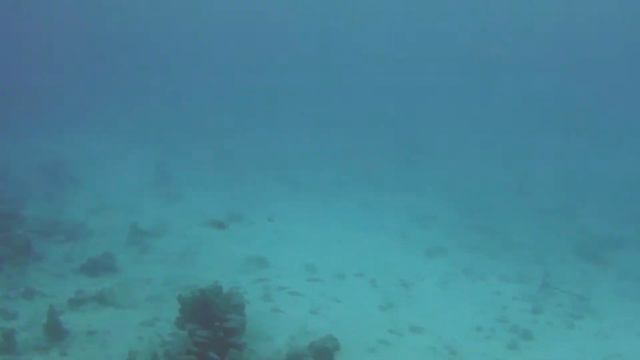 Занзибар, апрель 2021, + немного снорка смотреть онлайн