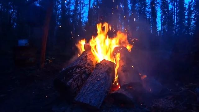 Футаж Лесной костер смотреть онлайн