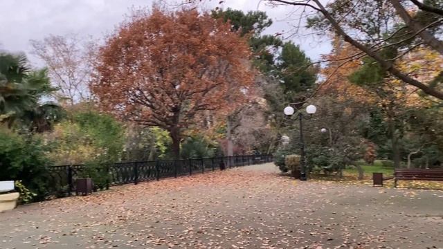 09.12.2020 Погода в Сочи в декабре. Смотри на Чёрное море каждый день. смотреть онлайн