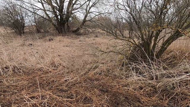 Удачный выезд, приятные находки! МЕТАЛО КОП смотреть онлайн