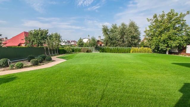 Плюсы и минусы посевного и рулонного газонов. смотреть онлайн