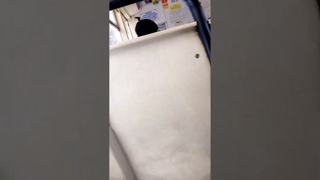 5 ноября 2023 г.