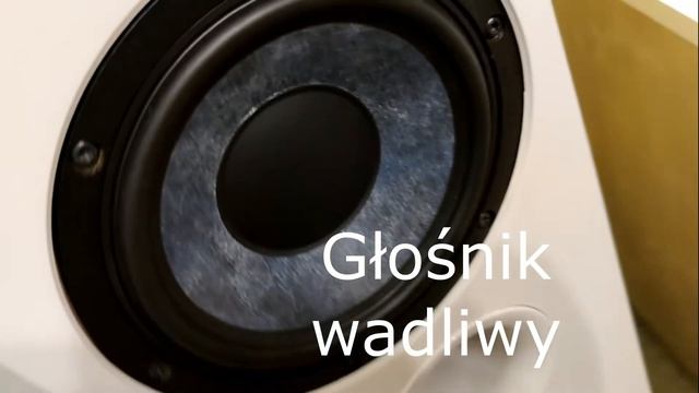 Kolumny Focal Chora 816