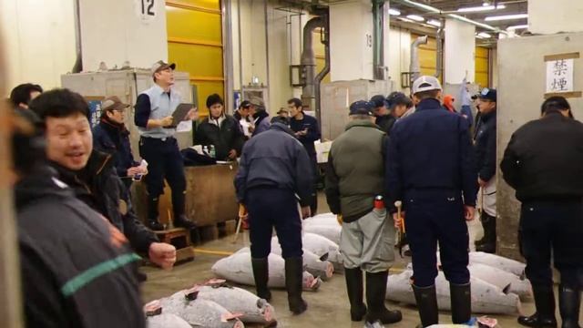 Рыбный аукцион на рынке Цукидзи в Токио (2010) / Fish auction at Tsukiji Market in Tokyo (2010) смотреть онлайн