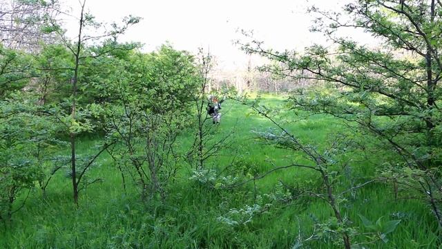 AyatoxYui Flesh CMV смотреть онлайн