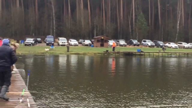 Отличный клёв и поимки форели по всему периметру водоёма !!! смотреть онлайн