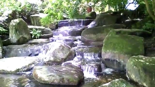 Planten & Blomen смотреть онлайн