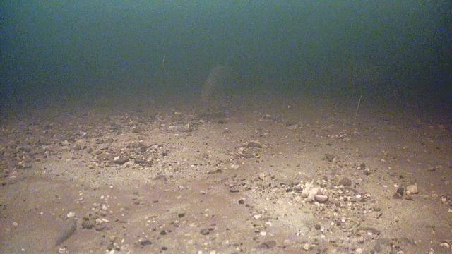 Рыбалка 2023! Ловля язя! Подводная съемка! Камера Фокус Фиш! Spear fishing! 13.02.2023г. смотреть онлайн