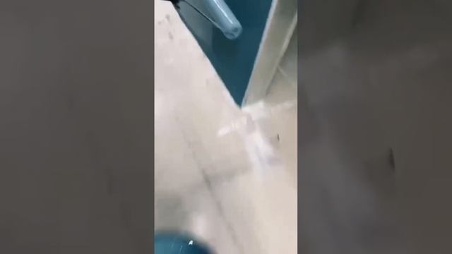 Покраска стен: Последний тренд #shorts #verniciatura #fypyoutube смотреть онлайн