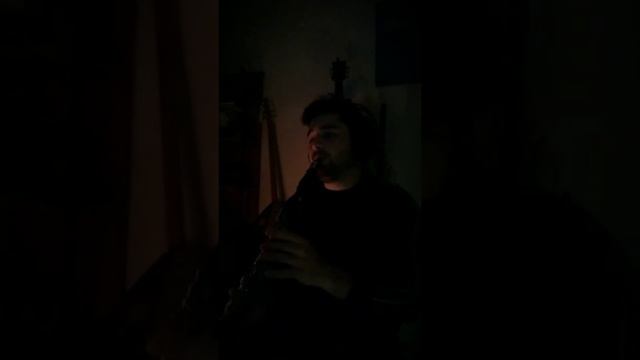 Amy Winehouse - Back to Black ( Tunahan KIŞO - Klarnet Cover ) смотреть онлайн