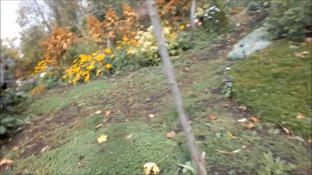 Fujifilm Finepix HS30EXR. Тест видео ультразум фотоаппарата смотреть онлайн