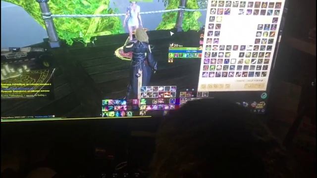 Смешные моменты за год. Наши пушистики ваши улыбки. смотреть онлайн