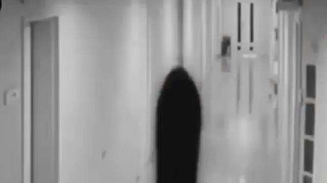 333.333.333 оригинальное видео